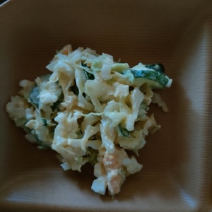 キャベツときゅうりと卵のサラダ